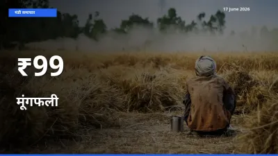 बाज़ार संकेत: मूंगफली के भाव कई मंडियों में समान रुझान दिखा रहे
