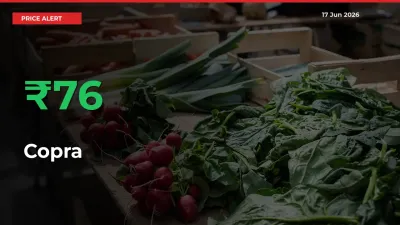 Copra Mandi Rate Today: Prices Jump 76.23% at Market