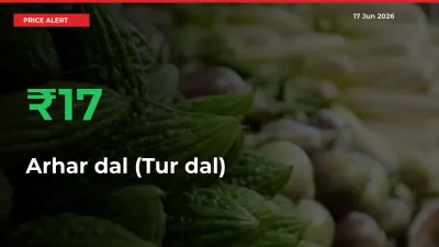 Why Arhar dal (Tur dal) Prices Rose 17.01% in a Day at Mandis