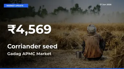 Corriander seed Prices Touch 30-Day Low in Gadag APMC – June 17 Update