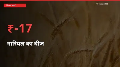 नारियल का बीज के दाम प्रमुख मंडी में 16.5% गिरे, 24 घंटे में बड़ा बदलाव