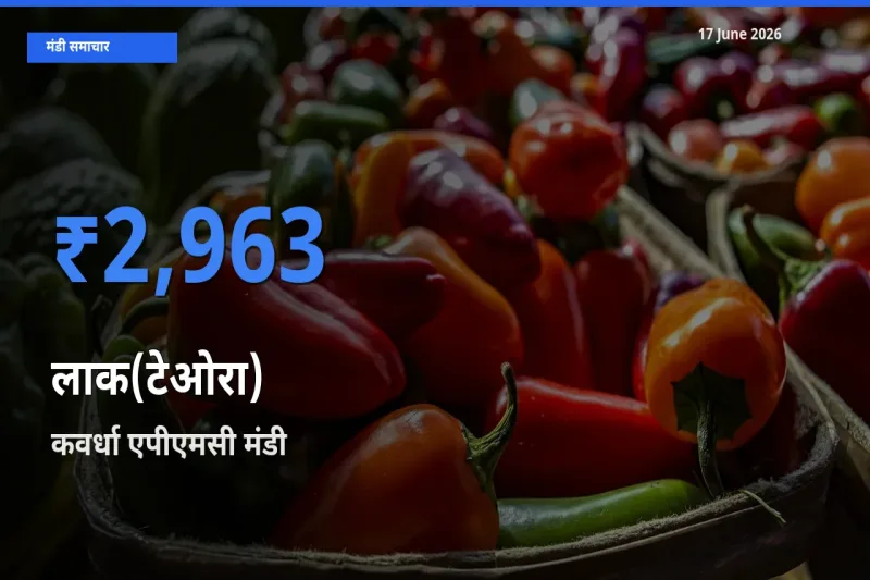 कवर्धा एपीएमसी में लाक(टेओरा) का आज सबसे ऊँचा भाव