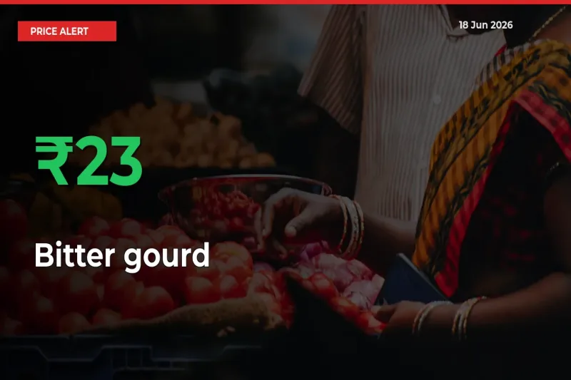 Why Bitter gourd Prices Rose 22.57% in a Day at Mandis