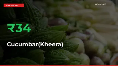 Cucumbar(Kheera) Mandi Rate Today: Prices Jump 34.3% at Market