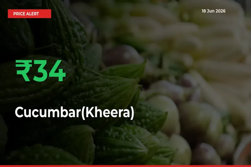 Cucumbar(Kheera) Mandi Rate Today: Prices Jump 34.3% at Market