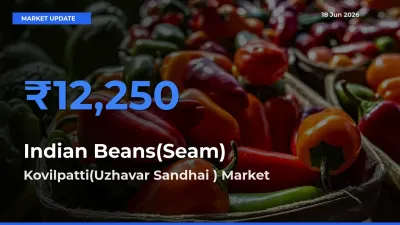 Farmers Prefer Kovilpatti(Uzhavar Sandhai ) as Indian Beans(Seam) Hits Highest Rate