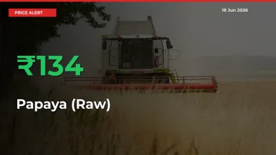 133.6% Spike in Papaya (Raw) Prices – Mandi Sees Sudden Rally