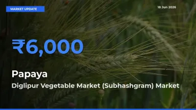 Papaya Mandi Rate Today: Diglipur Vegetable Market (Subhashgram) Tops the List