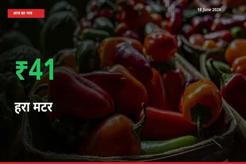 आज का मंडी भाव: हरा मटर के दाम मंडी में 41.09% ऊपर