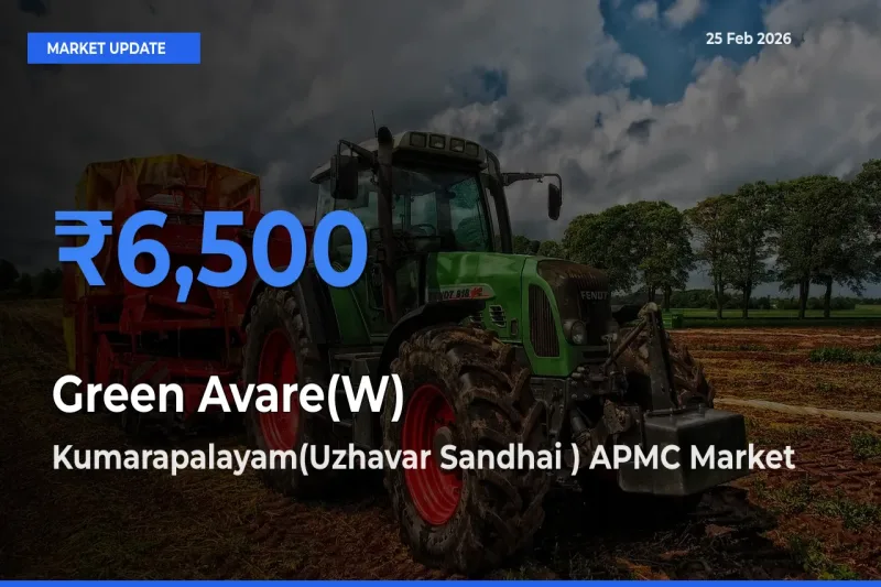 Green Avare(W) Mandi Rate Today: Kumarapalayam(Uzhavar Sandhai ) APMC Tops the List