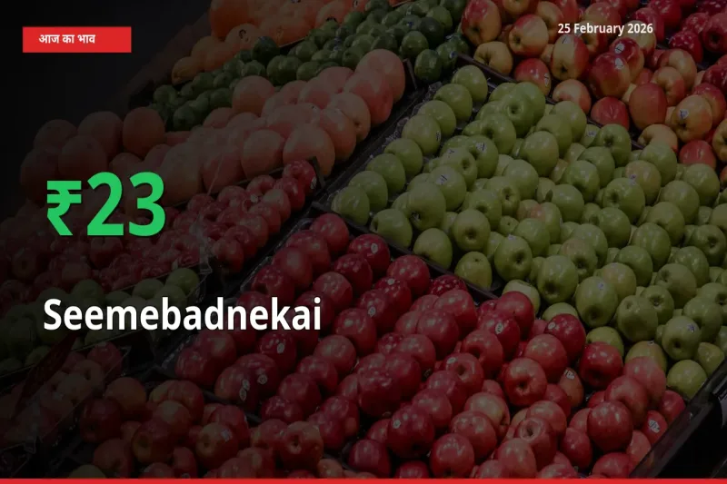 तेज़ तेजी! मंडी में Seemebadnekai के दाम 22.86% चढ़े