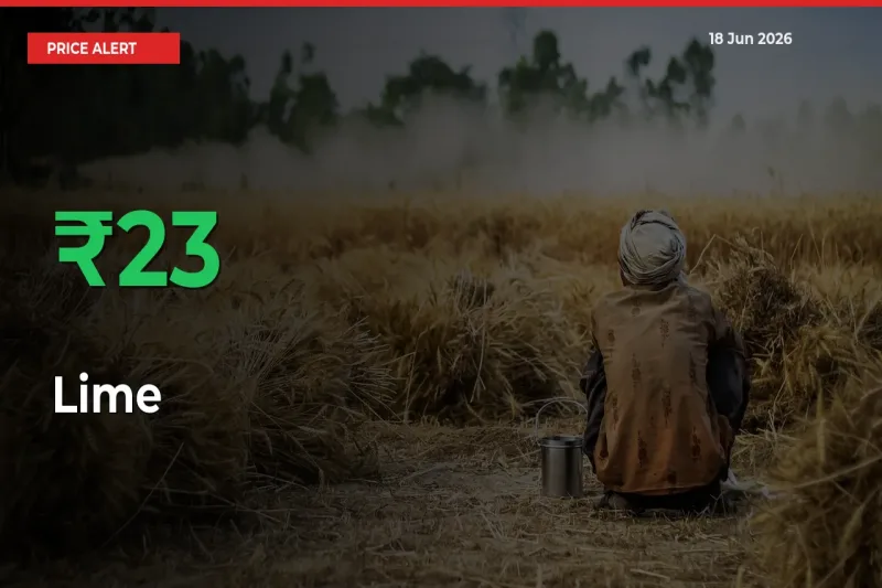 Lime Mandi Rate Today: Prices Jump 23.02% at Market