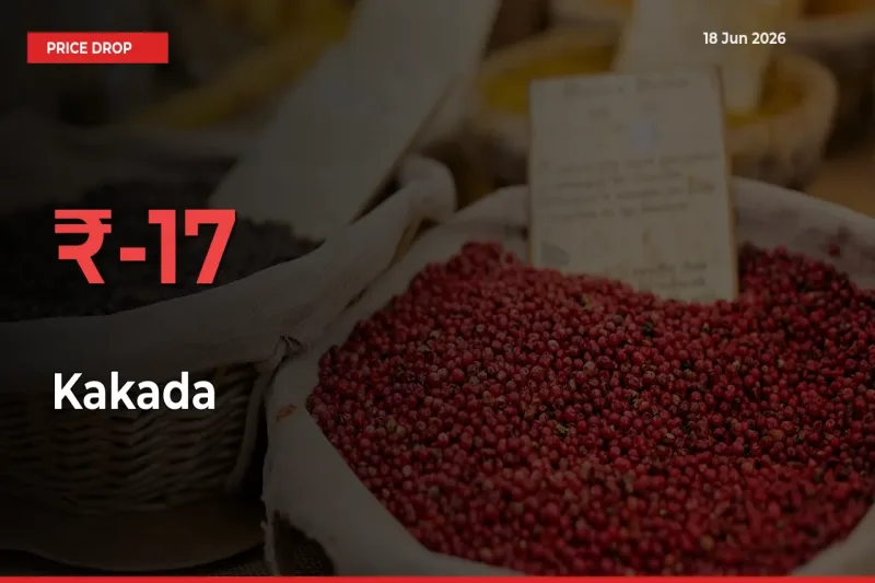 Kakada Prices Drop 16.79% – June 18 Market Update from Mandis