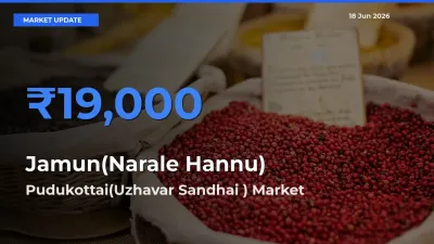 Market Watch: Pudukottai(Uzhavar Sandhai ) Becomes Top Mandi for Jamun(Narale Hannu)