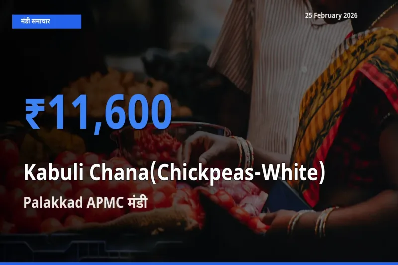 बाज़ार संकेत: Palakkad APMC बना Kabuli Chana(Chickpeas-White) के लिए आज की टॉप मंडी