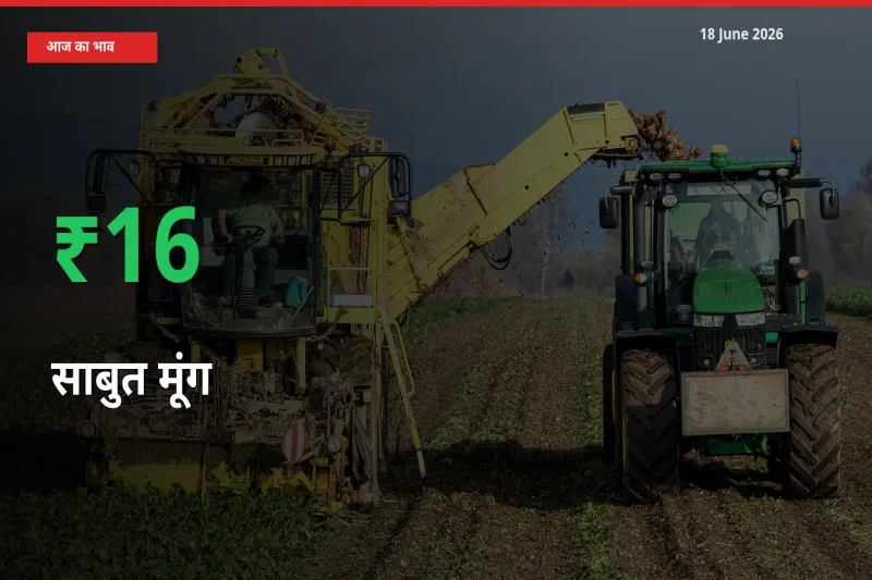 बाज़ार संकेत: साबुत मूंग के भाव मंडी में 15.51% ऊपर