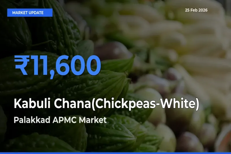 Palakkad APMC Emerges as Top Mandi for Kabuli Chana(Chickpeas-White) Prices Today