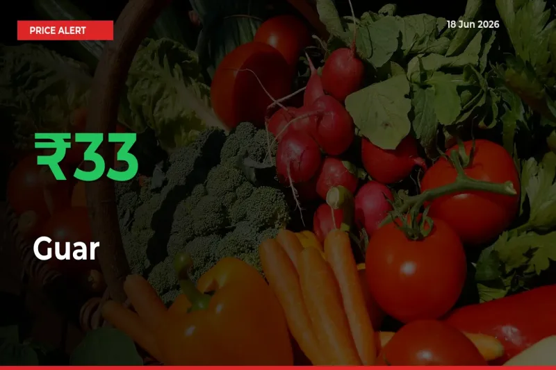 This Mandi Records 32.52% Jump in Guar Prices