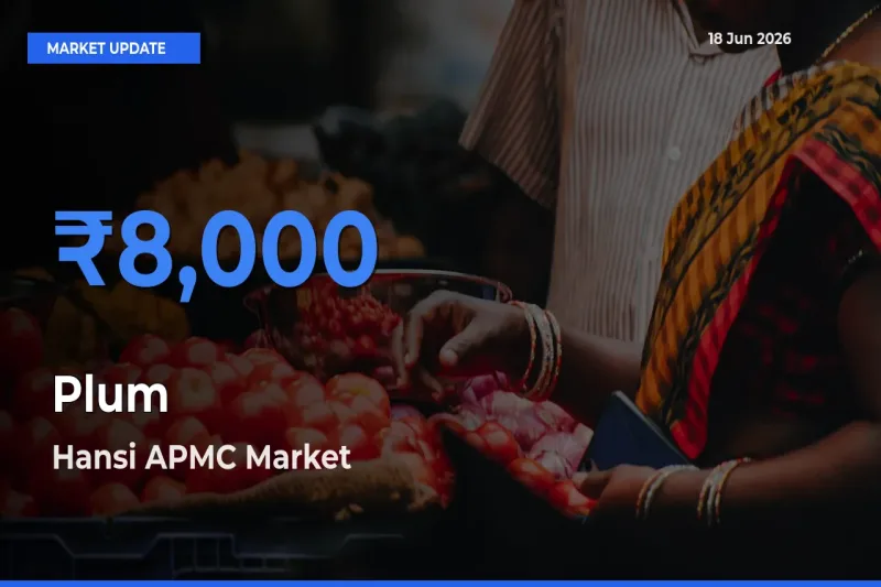 Hansi APMC Leads as Top Mandi for Plum Prices