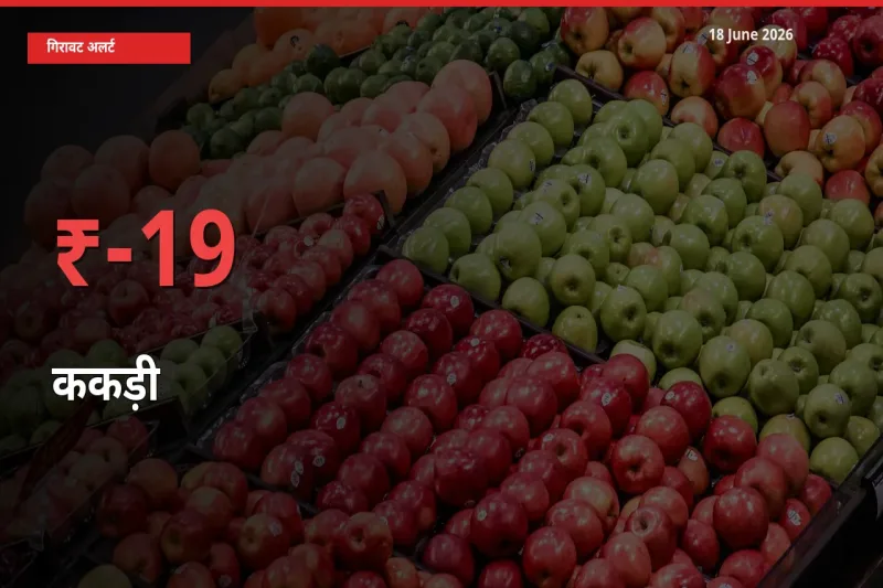 ककड़ी 18.98% गिरा, मंडी