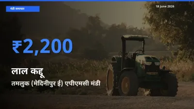 बाज़ार संकेत: तमलुक (मेदिनीपुर ई) एपीएमसी बना लाल कद्दू के लिए आज की टॉप मंडी