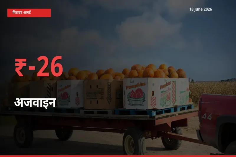 अजवाइन 26.36% गिरा, मंडी