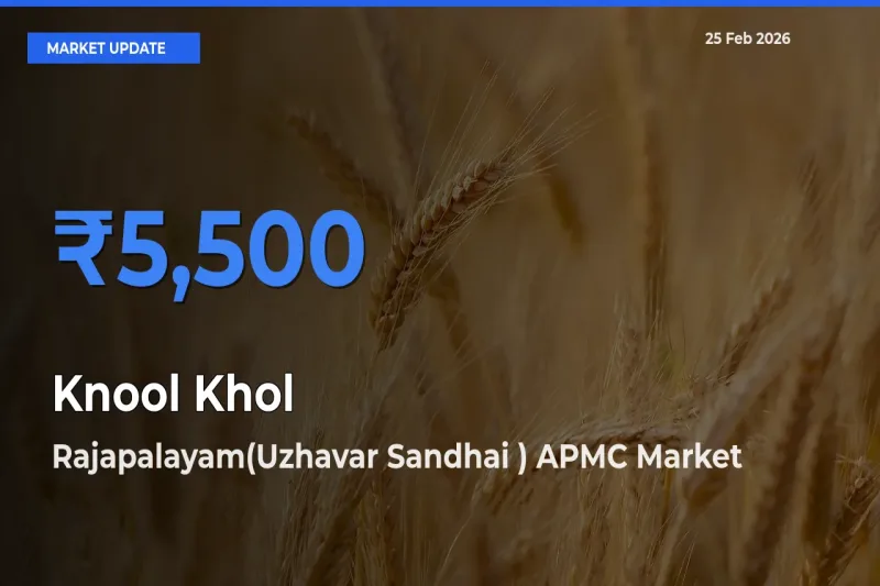 Rajapalayam(Uzhavar Sandhai ) APMC Tops Knool Khol Rates – February 25 Market Update