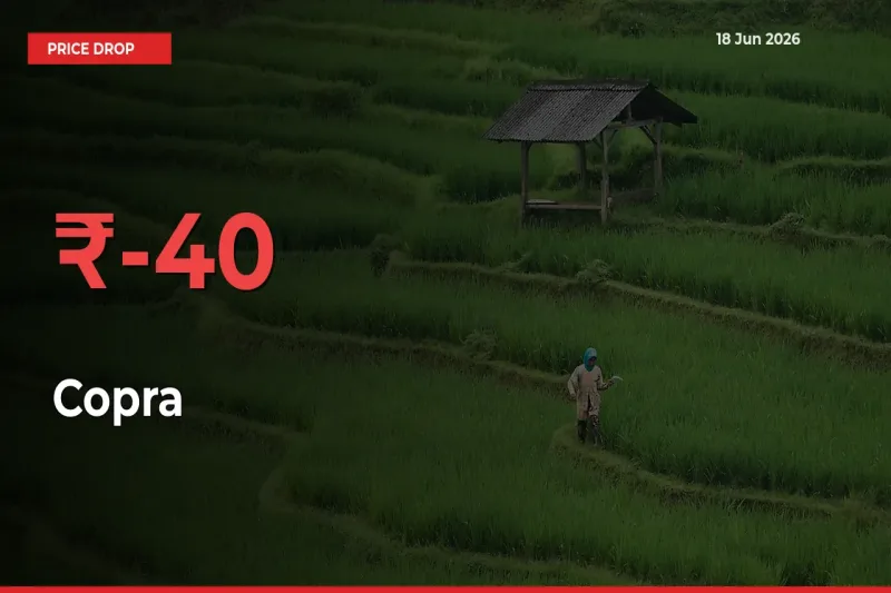 This Mandi Records 39.6% Fall in Copra Prices
