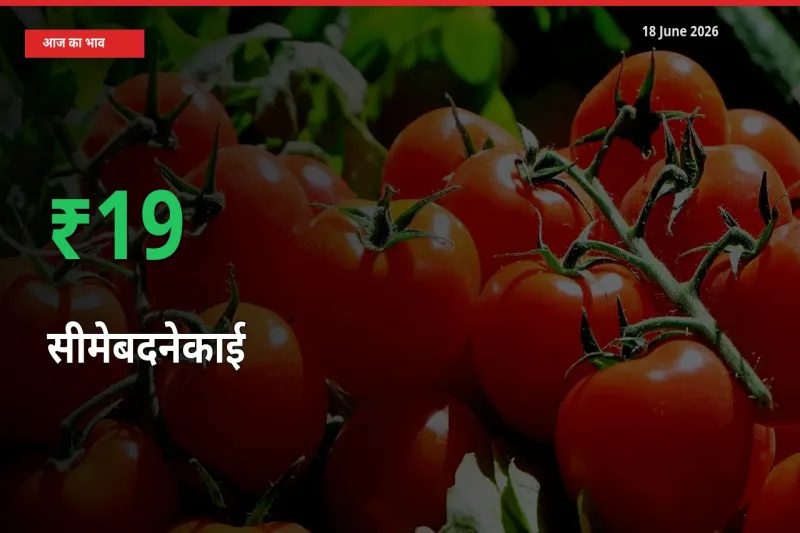 बाज़ार संकेत: सीमेबदनेकाई के भाव मंडी में 19.05% ऊपर