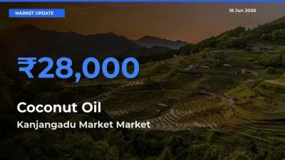 Kanjangadu Market Tops Coconut Oil Rates – June 18 Market Update