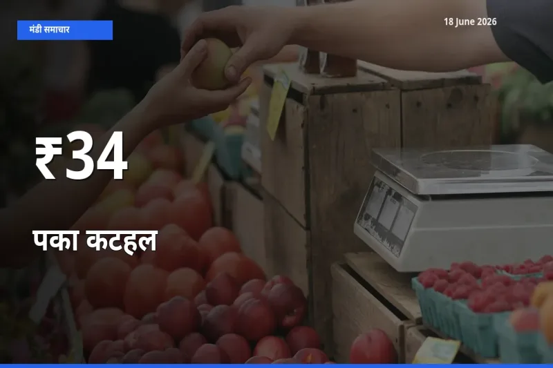पका कटहल के दामों का असर कई मंडियों में, बाज़ार दिशा स्पष्ट