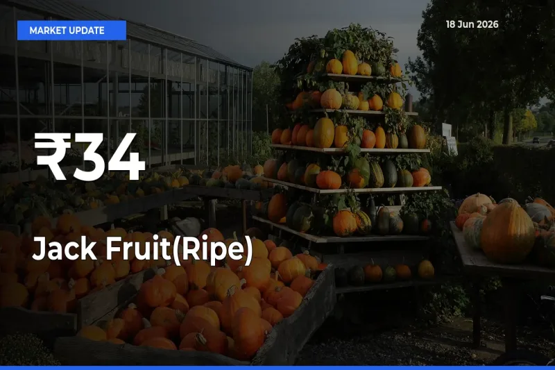 Strong Trend in Jack Fruit(Ripe) Rates Across Multiple Mandis – What It Means for Traders