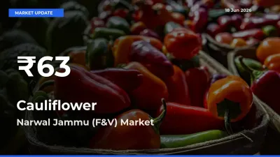 Cauliflower Hits 30-Day Low in Narwal Jammu (F&V)