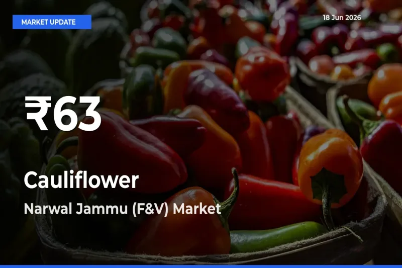 Cauliflower Hits 30-Day Low in Narwal Jammu (F&V)