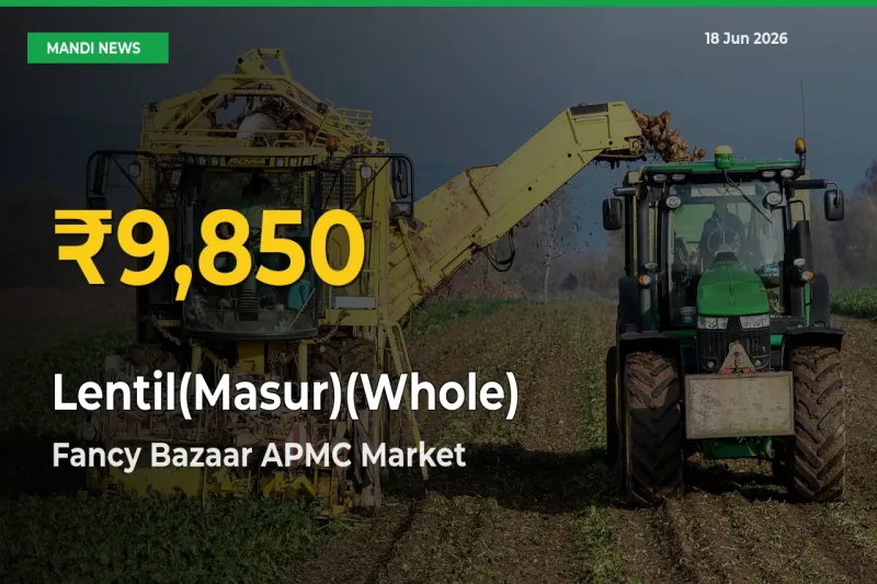 Lentil(Masur)(Whole) Prices Soar to Record High in Fancy Bazaar APMC – Farmers Alert Today