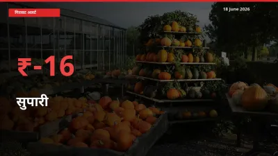 किसानों की चिंता बढ़ी! स्थानीय मंडी में सुपारी 15.56% गिरा