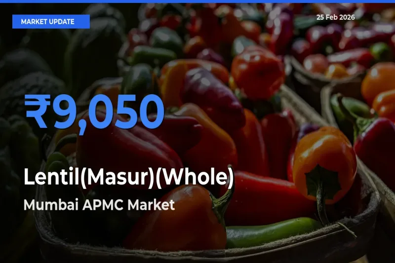 Mumbai APMC Emerges as Top Mandi for Lentil(Masur)(Whole) Prices Today