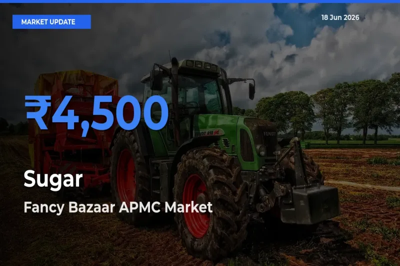 Fancy Bazaar APMC Leads as Top Mandi for Sugar Prices
