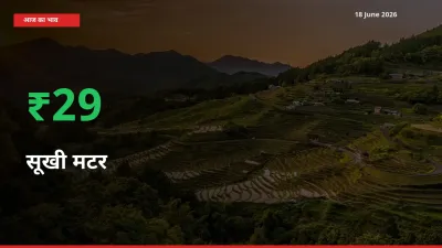 सूखी मटर 29.2% उछला, मंडी