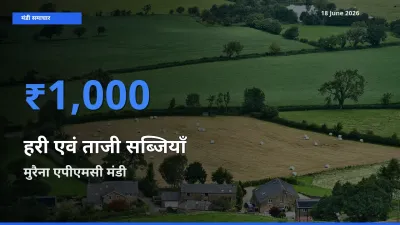 आज का मंडी भाव: हरी एवं ताजी सब्जियाँ के सबसे ज़्यादा दाम मुरैना एपीएमसी में