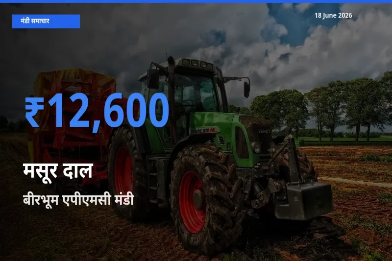 आज मसूर दाल के सबसे ज़्यादा दाम बीरभूम एपीएमसी मंडी में दर्ज