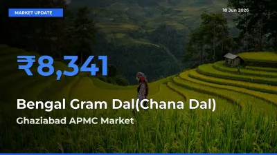Ghaziabad APMC Records Highest ₹8,341 Rate for Bengal Gram Dal(Chana Dal)