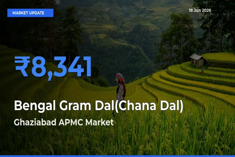 Ghaziabad APMC Records Highest ₹8,341 Rate for Bengal Gram Dal(Chana Dal)