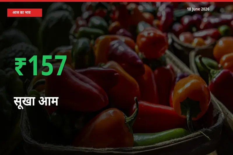 अचानक तेजी! मंडी में सूखा आम के दाम 156.91% चढ़े