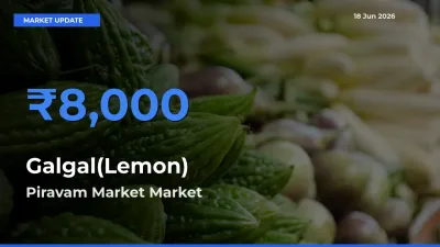 Piravam Market Tops Galgal(Lemon) Rates – June 18 Market Update