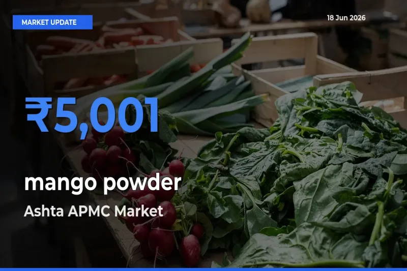 Market Watch: Ashta APMC Becomes Top Mandi for mango powder