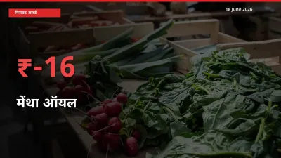 अचानक झटका! मंडी में मेंथा ऑयल के दाम 16.22% टूटे