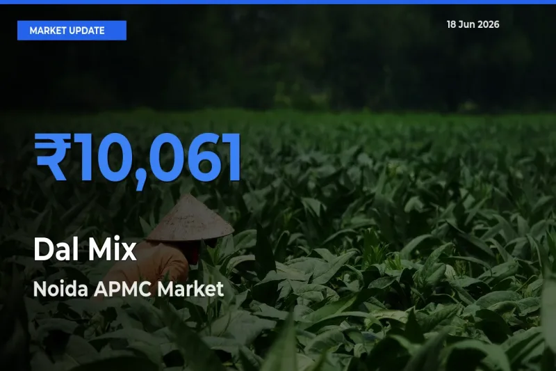 Noida APMC Tops Dal Mix Rates – June 18 Market Update