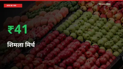 तेज़ तेजी! मंडी में शिमला मिर्च के दाम 41.44% चढ़े