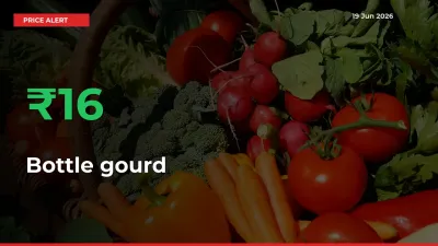 Farmers Cheer as Bottle gourd Prices Surge 15.53% in Local Mandis